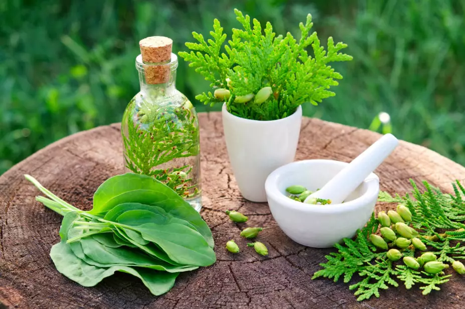 Herbal Products