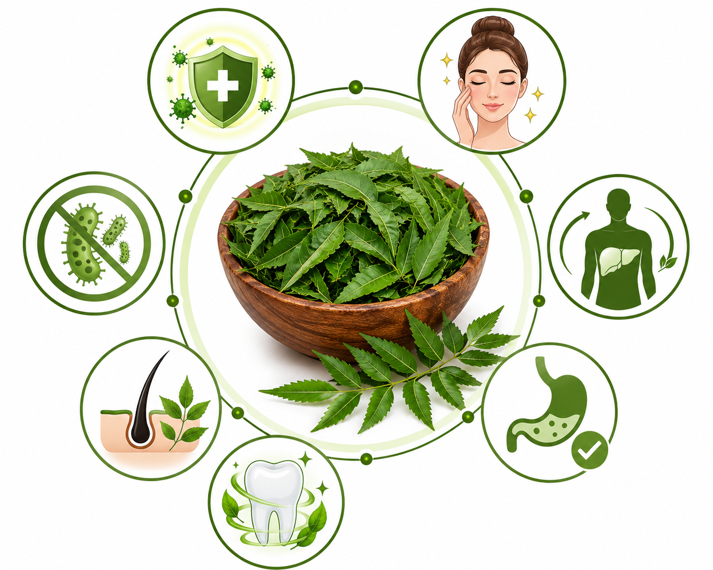 KMC Neem Leaf Powder (Azadirachta indica) 200 grams | 100% Natural Sun-Dried Neem Leaves | Pure Neem Powder | Herbal & Traditional Uses 3